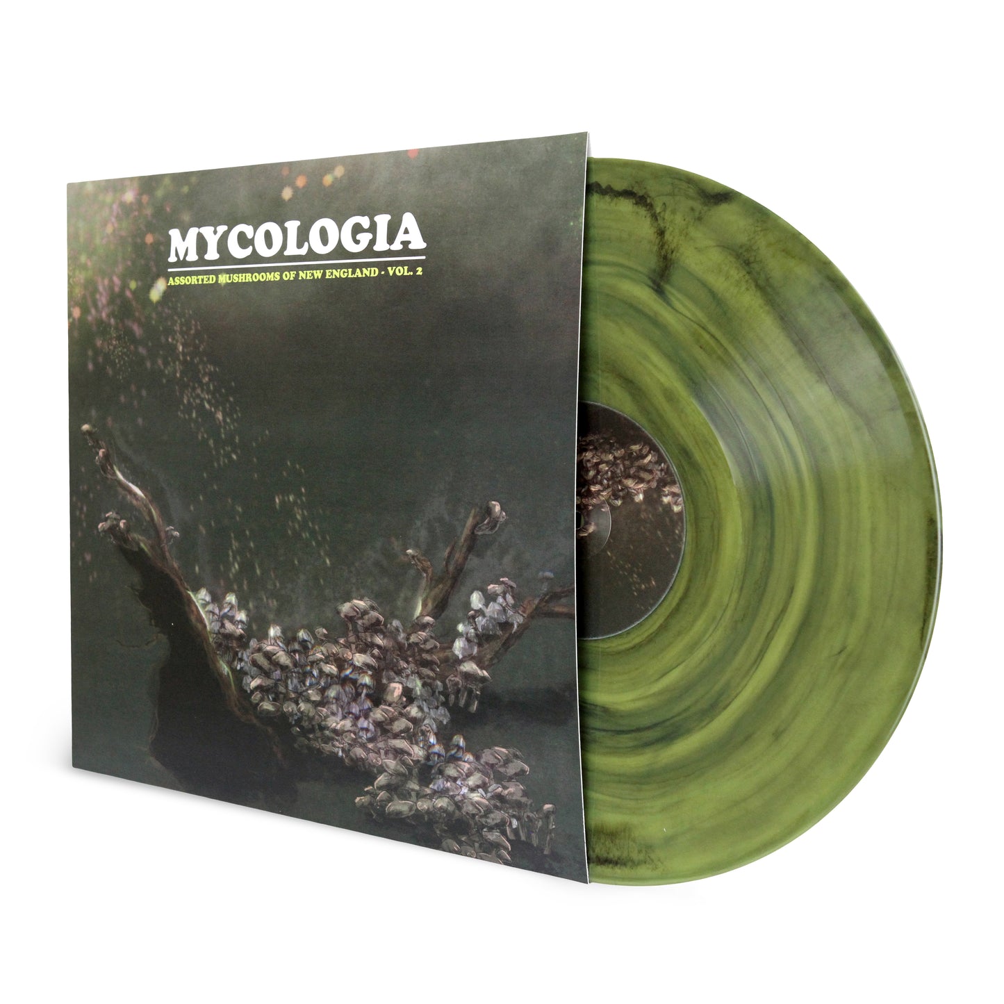 Mycologia – Assorted Mushrooms Of New England Vol. 2