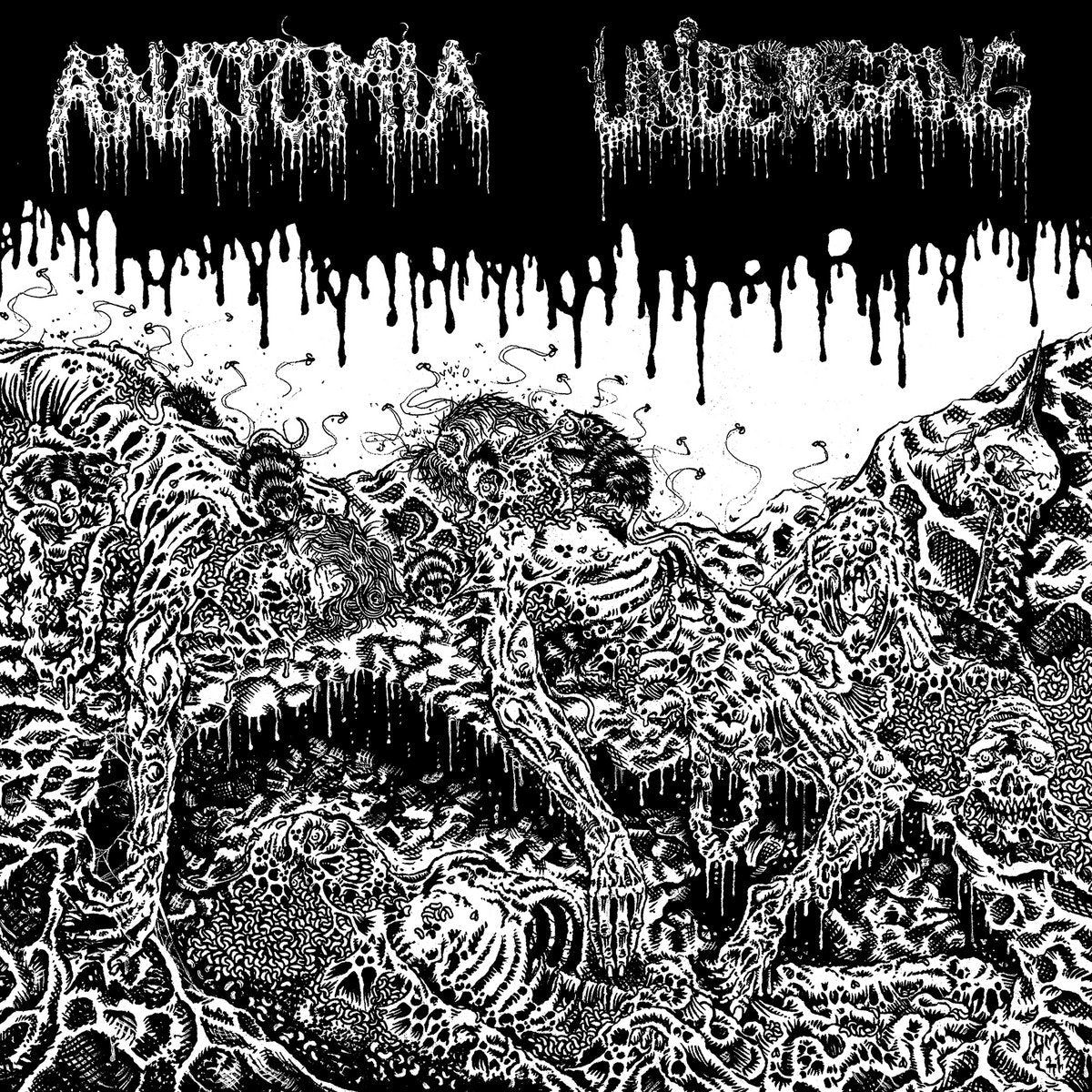 Anatomia/Undergang - Split LP