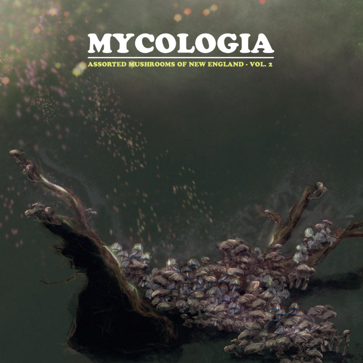 Mycologia – Assorted Mushrooms Of New England Vol. 2