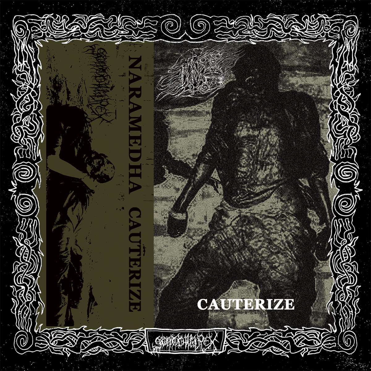 DEMOGOAT NARAMEDHA (INDIA) - CAUTERIZE - CASSETTE